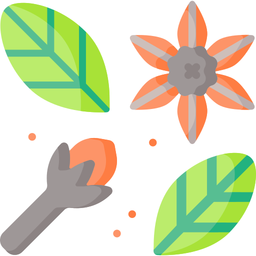 Manufacturer - Exporter of Indian Spices